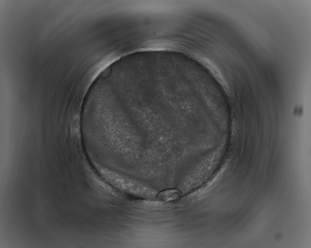 X0000101411465200807281014