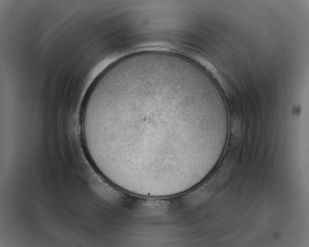 X0000101411466200807281014