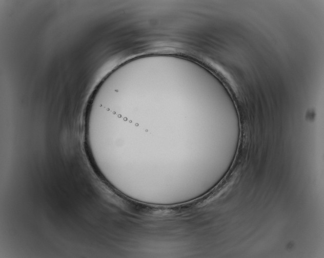 X0000101411467200807281014