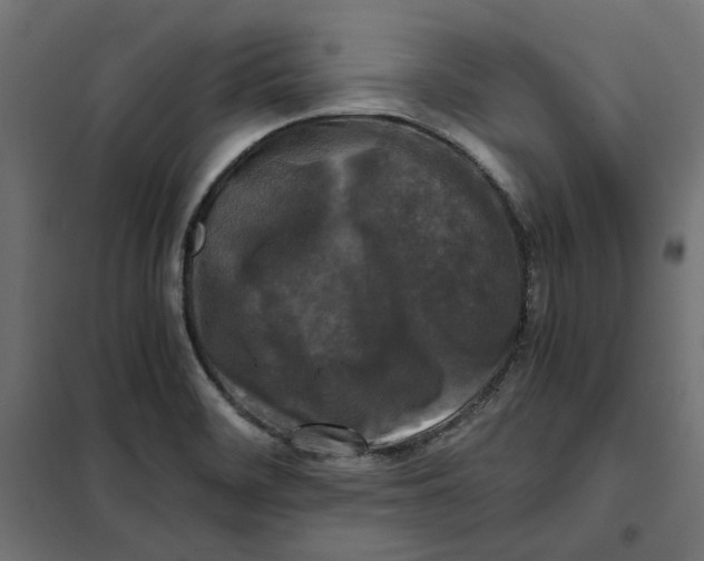 X0000101411468200807281014