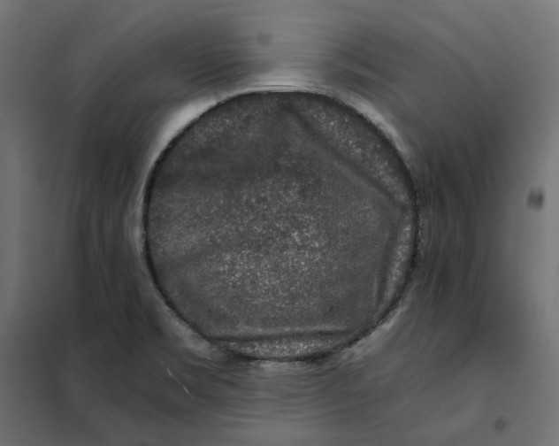 X0000101411469200807281014