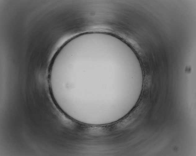 X0000101411470200807281014