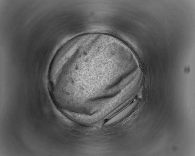 X0000101411471200807281014