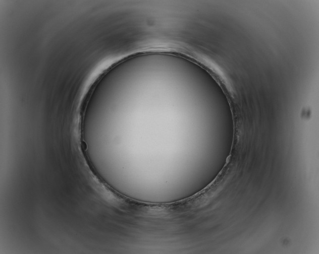 X0000101411472200807281014