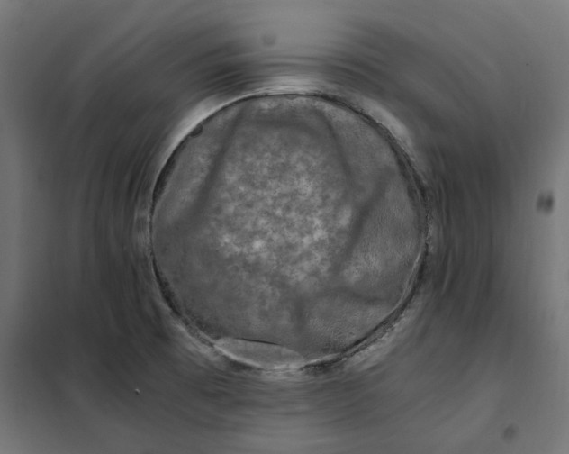 X0000101411473200807281014