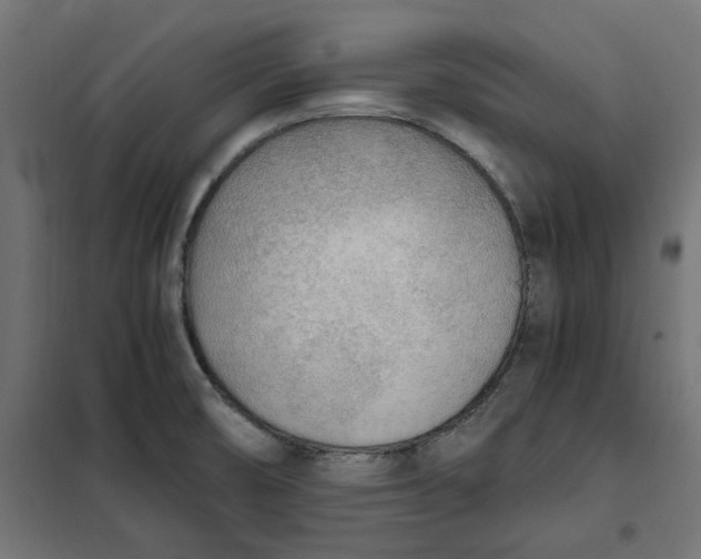 X0000101411474200807281014