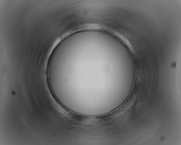 X0000101411475200807281014