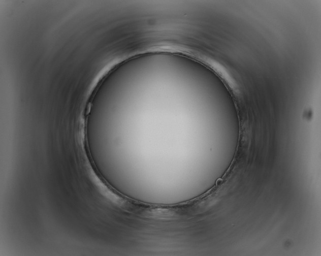 X0000101411476200807281014