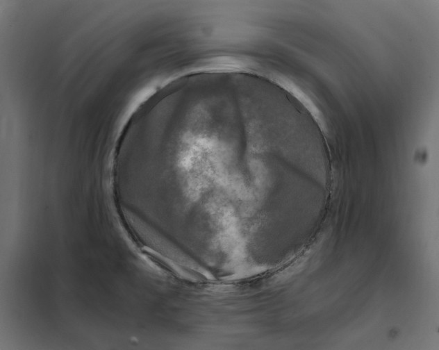 X0000101411477200807281014