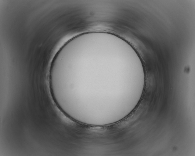 X0000101411478200807281014