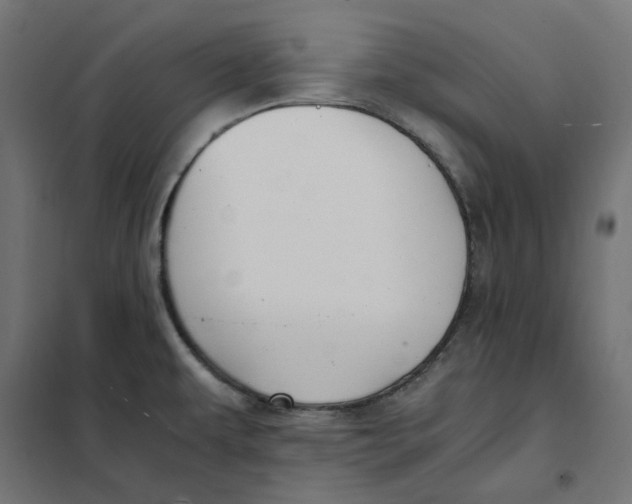 X0000101411479200807281014