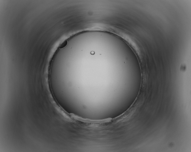 X0000101411480200807281014