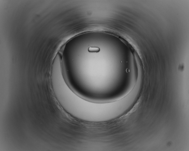 X0000101411481200807281014