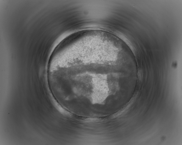 X0000101411482200807281014