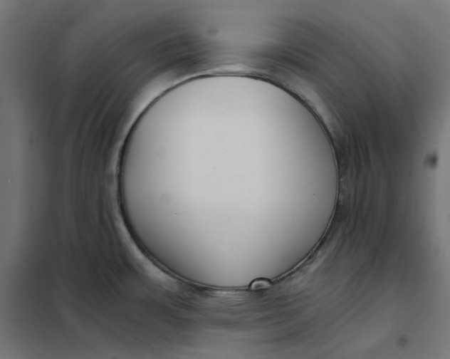 X0000101411483200807281014