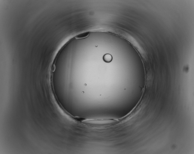 X0000101411484200807281014