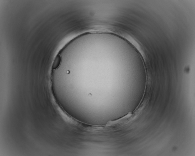 X0000101411485200807281014