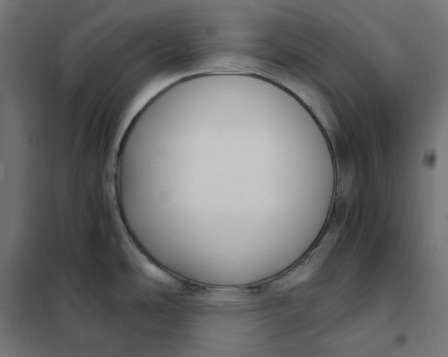 X0000101411486200807281014