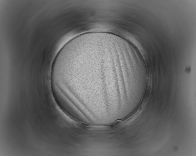 X0000101411487200807281014