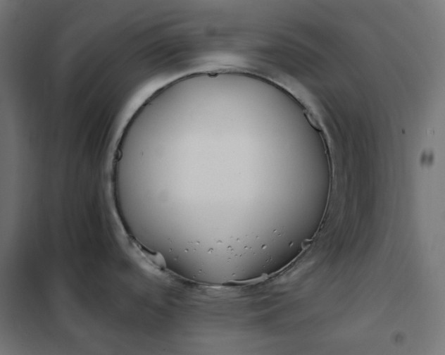 X0000101411488200807281014