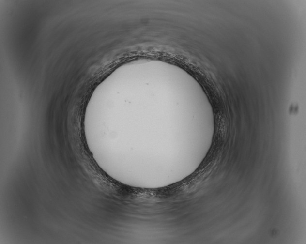 X0000101411489200807281013