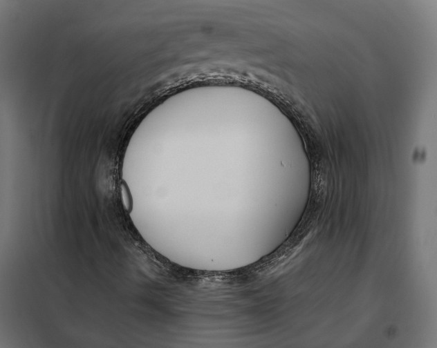 X0000101411490200807281013