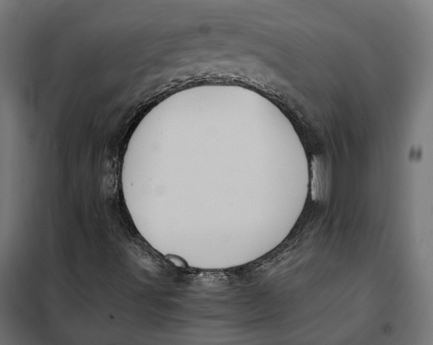 X0000101411491200807281013