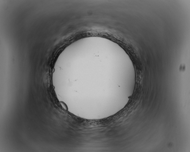 X0000101411493200807281013