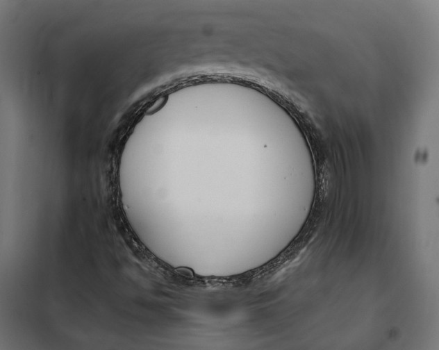 X0000101411494200807281013