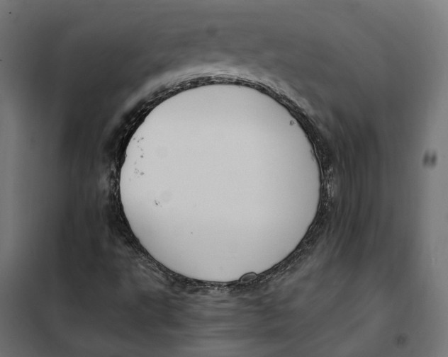 X0000101411495200807281013