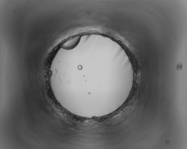 X0000101411496200807281013