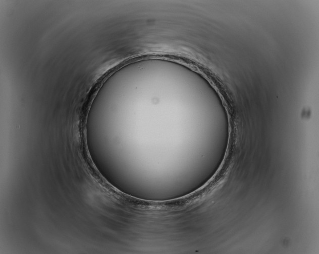 X0000101411497200807281013