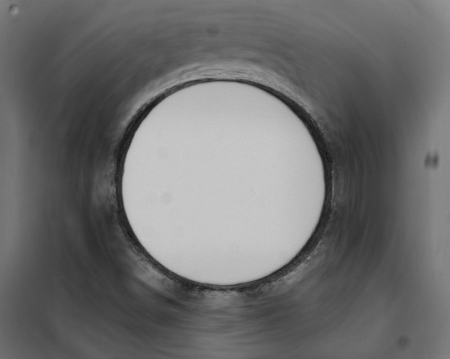 X0000101411498200807281013