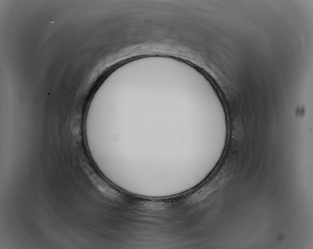 X0000101411499200807281013