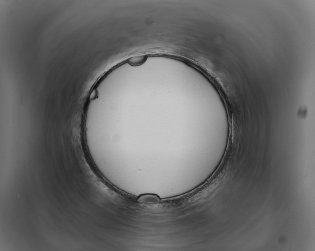 X0000101411500200807281013