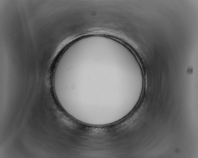 X0000101411501200807281013