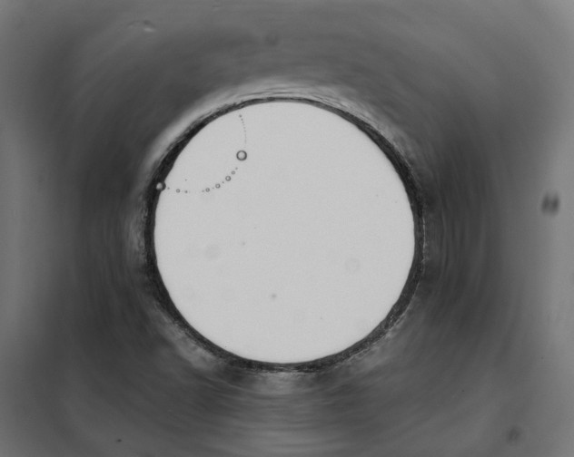 X0000101411502200807281013