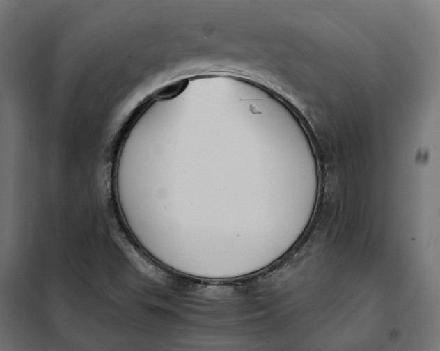 X0000101411503200807281013