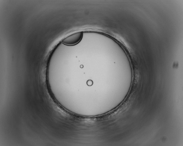 X0000101411504200807281013