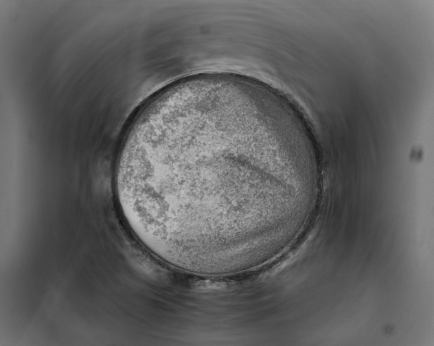 X0000101411505200807281013