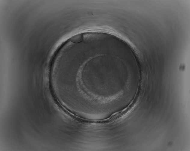 X0000101411506200807281013