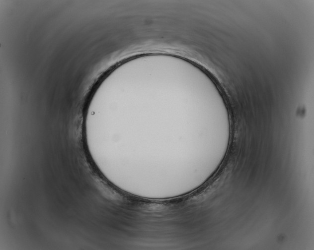 X0000101411507200807281013