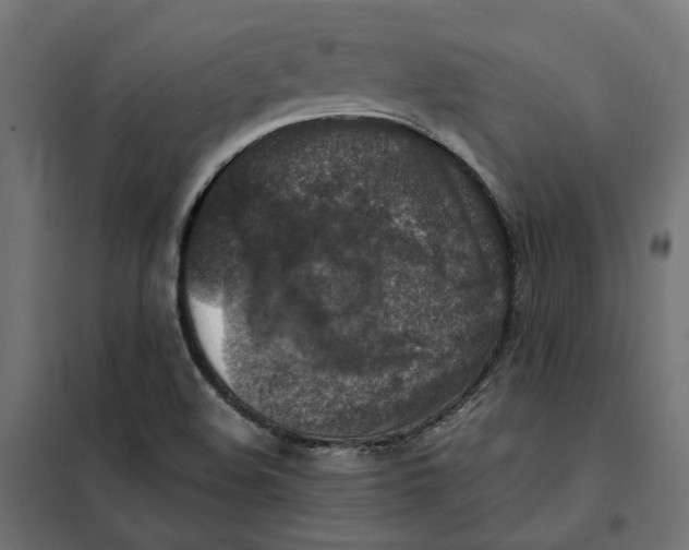 X0000101411508200807281013