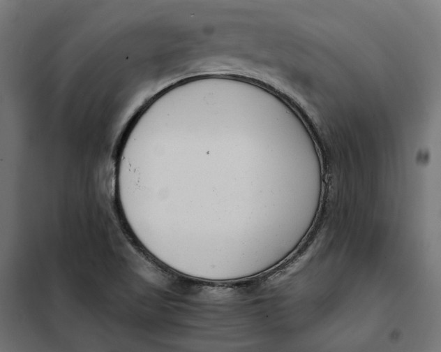 X0000101411509200807281013