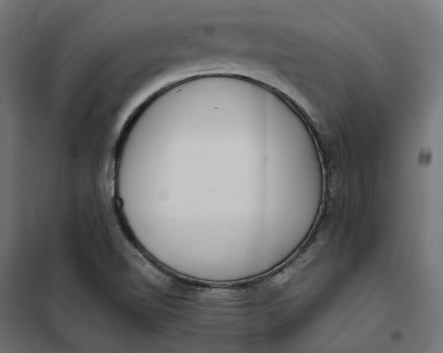 X0000101411510200807281013