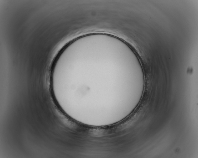 X0000101411511200807281013