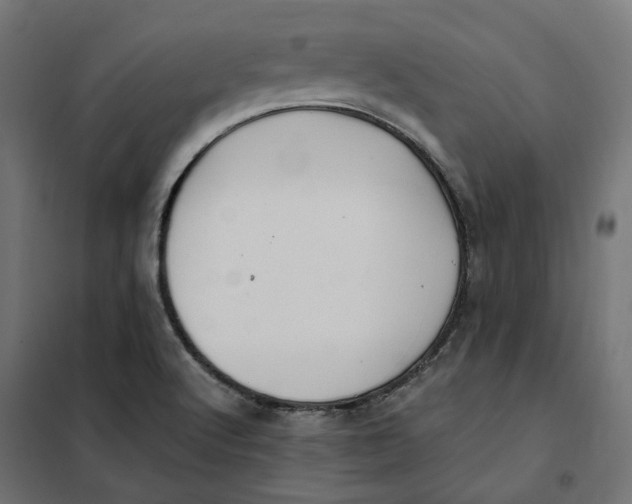 X0000101411512200807281013