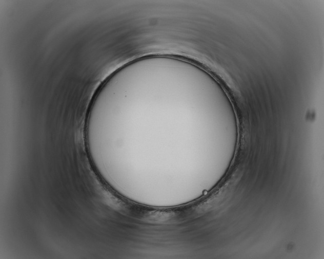 X0000101411513200807281013