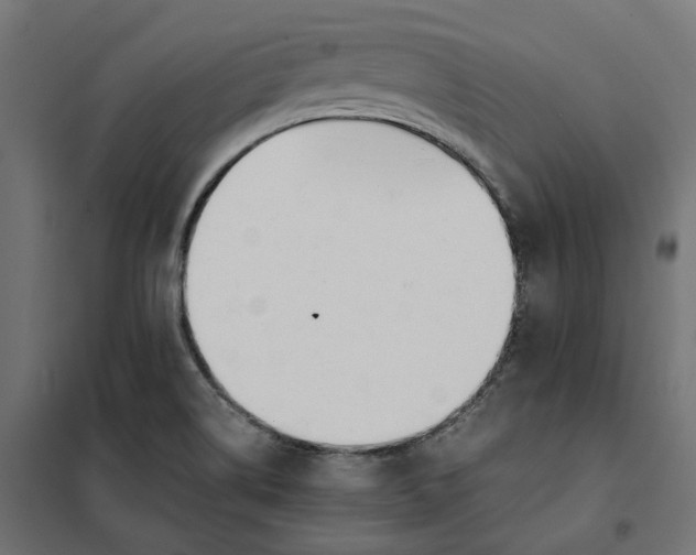 X0000101411514200807281013