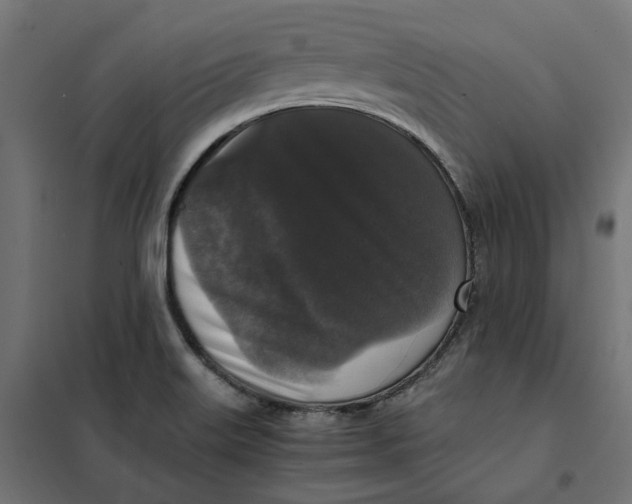 X0000101411515200807281013